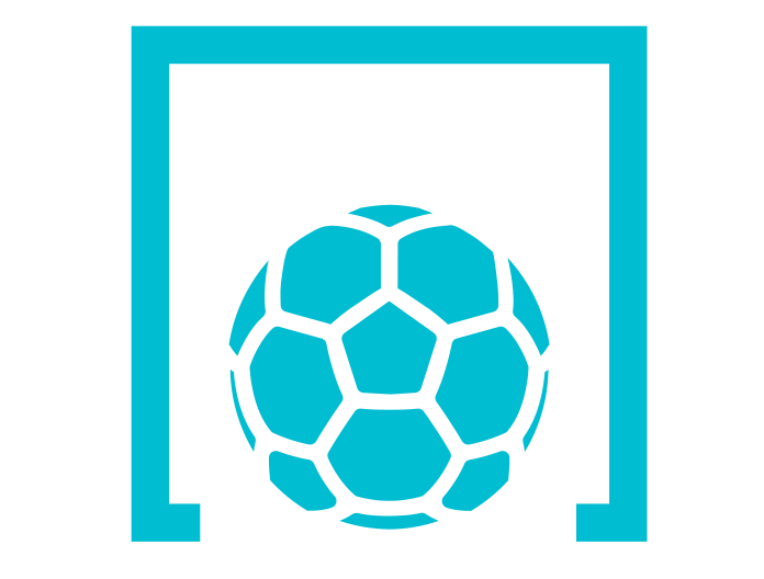Icono de quinigol